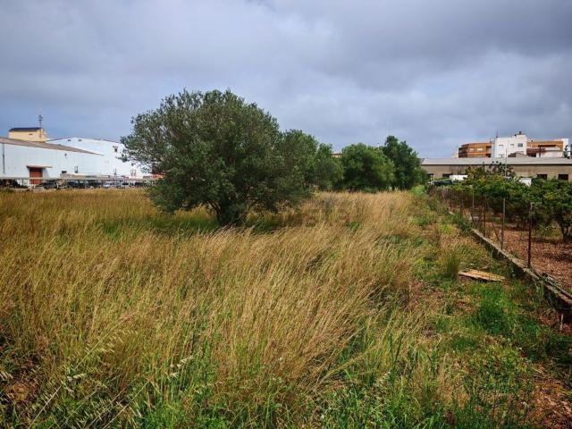 Terreno, El Verger