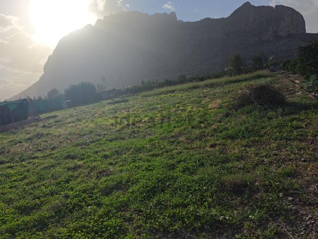 Terreno, El Verger