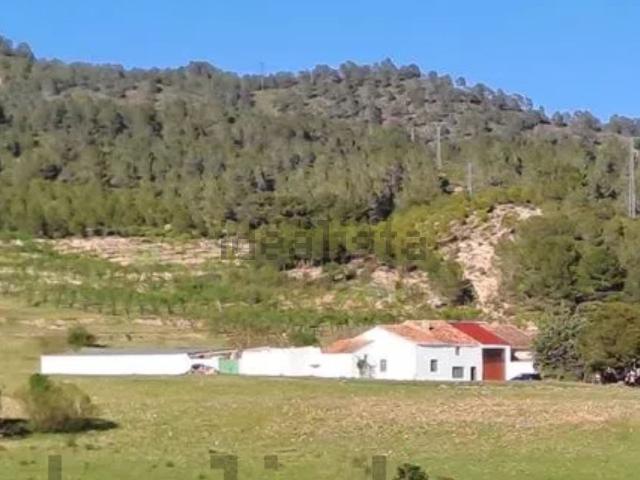 Terreno, Elche de la Sierra