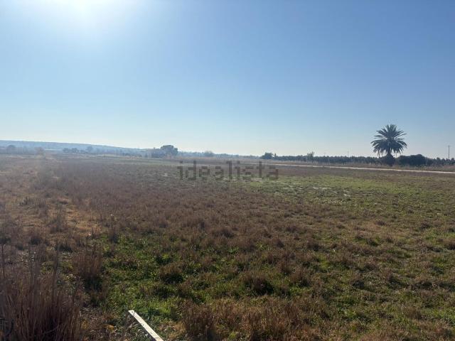 Terreno, Elche / Elx