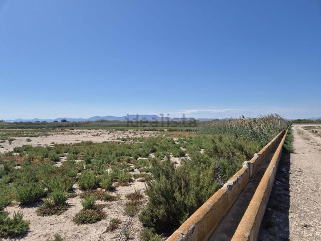 Terreno, Elche / Elx