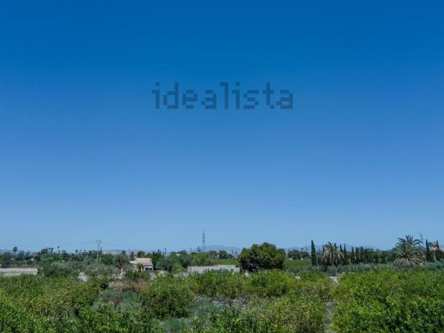 Terreno, Elche / Elx