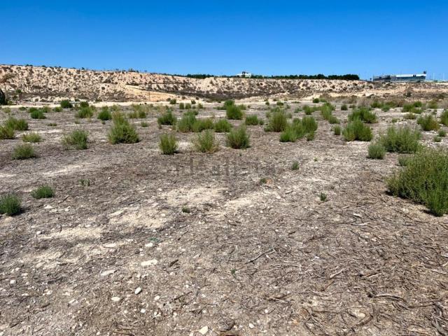 Terreno, Elche / Elx