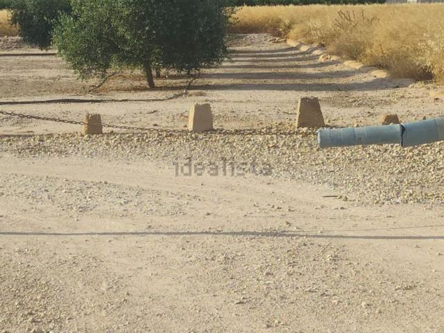 Terreno, Elche / Elx
