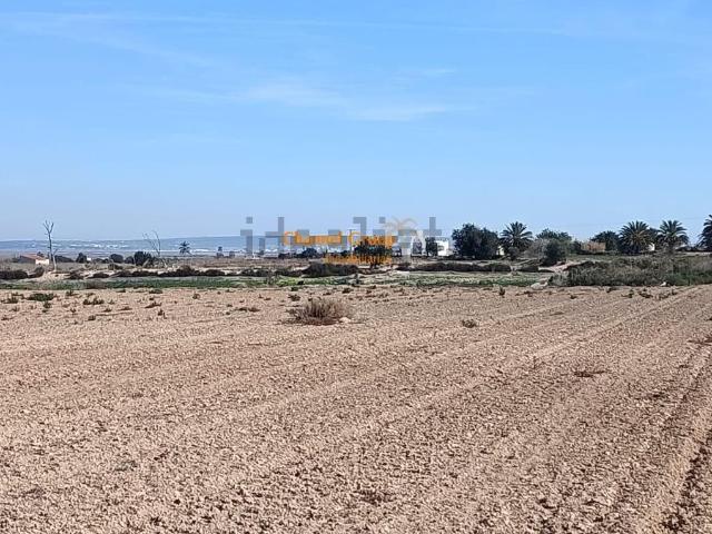 Terreno, Elche / Elx