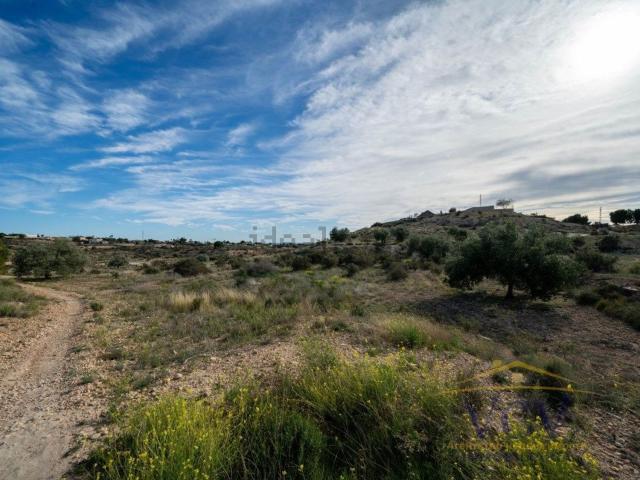 Terreno, Elche / Elx