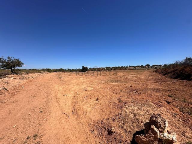 Terreno, Elche / Elx