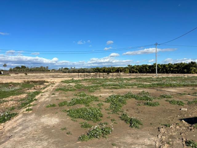 Terreno, Elche / Elx
