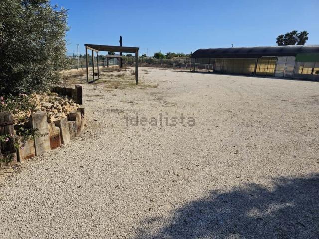 Terreno, Elche / Elx