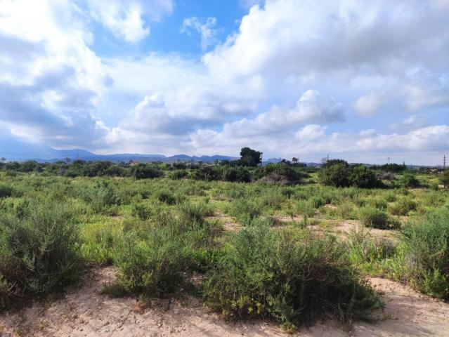 Terreno, Elche / Elx