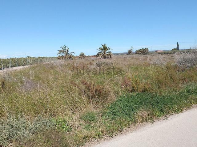 Terreno, Elche / Elx