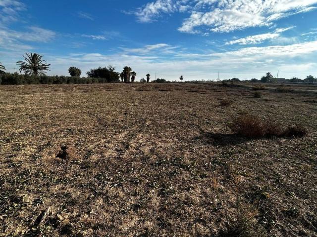 Terreno, Elche / Elx