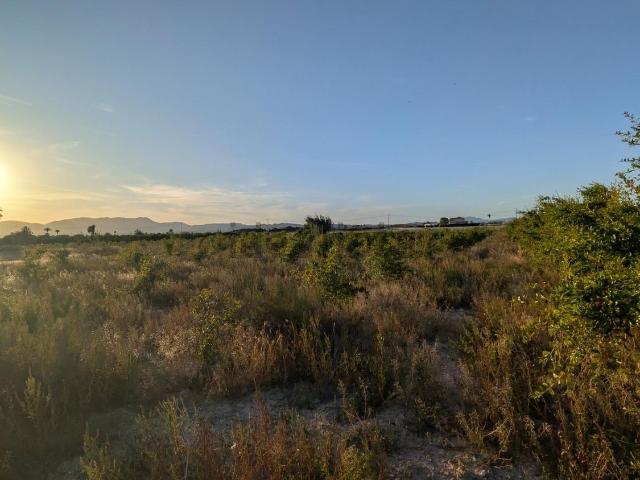 Terreno, Elche / Elx