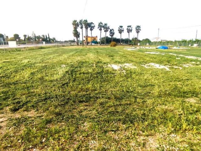 Terreno, Elche / Elx
