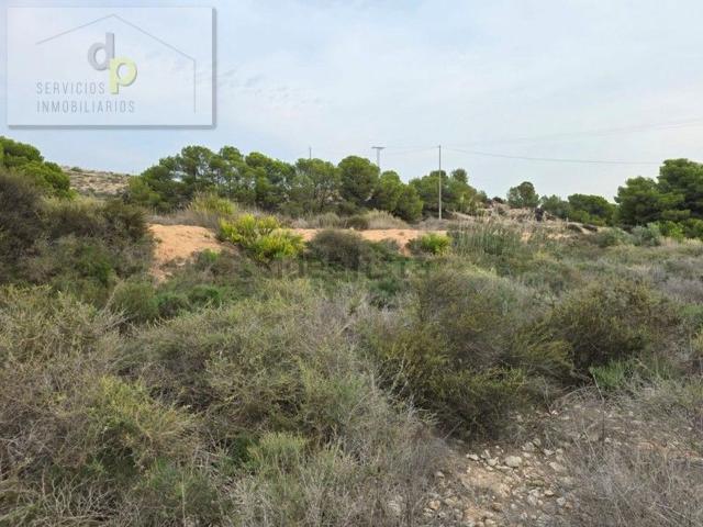 Terreno, Elche / Elx