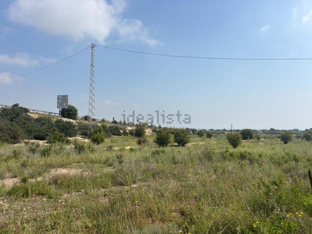 Terreno, Elche / Elx