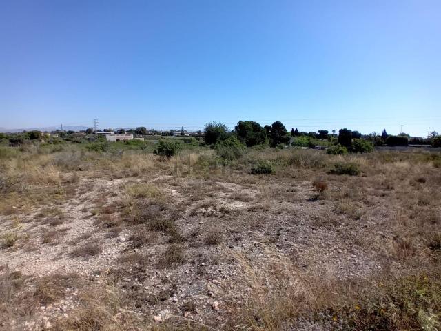 Terreno, Elche / Elx