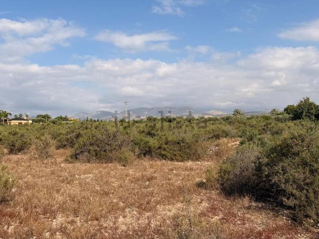 Terreno, Elche / Elx