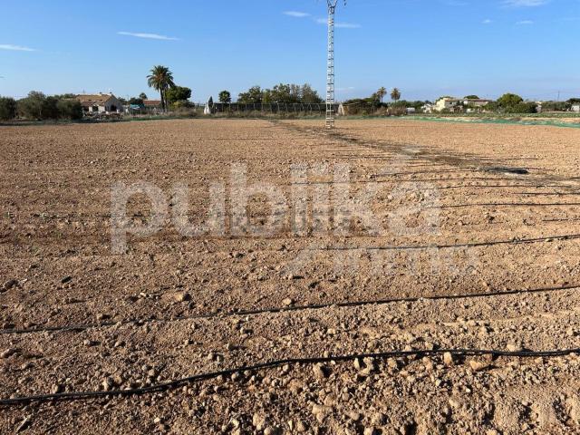 Terreno, Elche / Elx