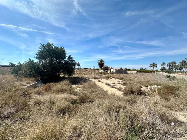 Terreno, Elche / Elx