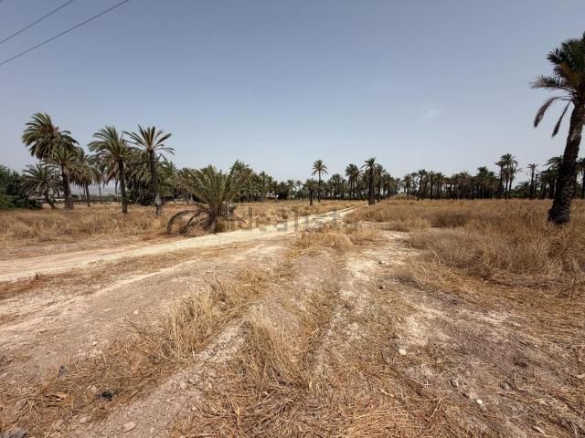 Terreno, Elche / Elx