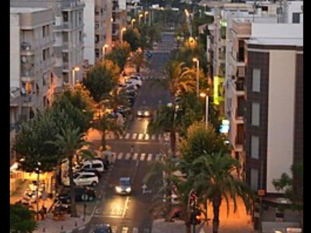 Terreno, Elche / Elx