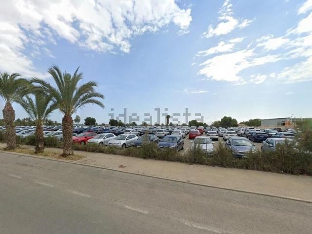 Terreno, Elche / Elx