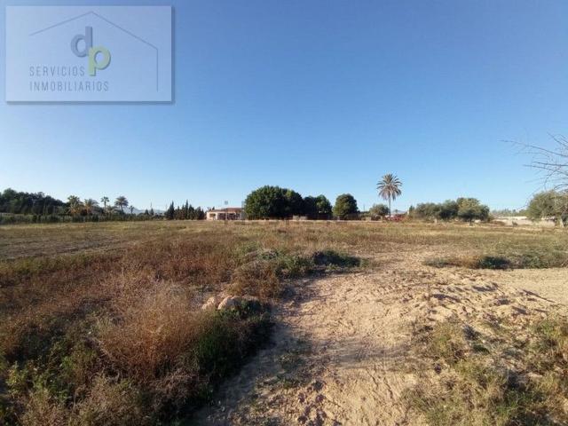 Terreno, Elche / Elx