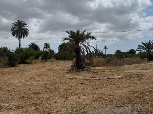 Terreno, Elche / Elx