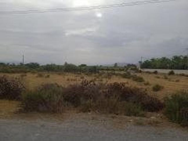 Terreno, Elche / Elx