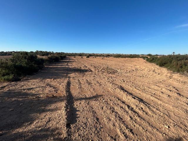Terreno, Elche / Elx