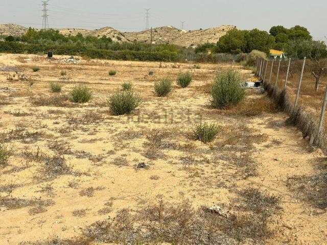 Terreno, Elche / Elx