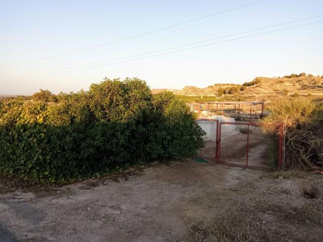 Terreno, Elche / Elx