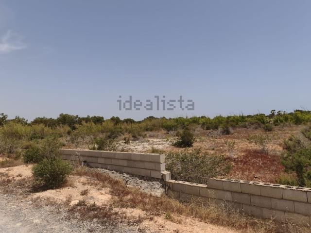 Terreno, Elche / Elx