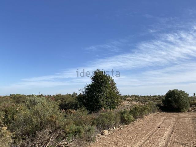 Terreno, Elche / Elx