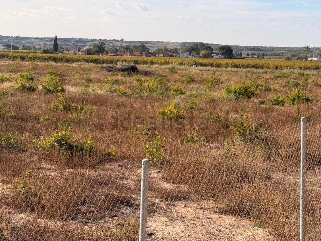 Terreno, Elche / Elx
