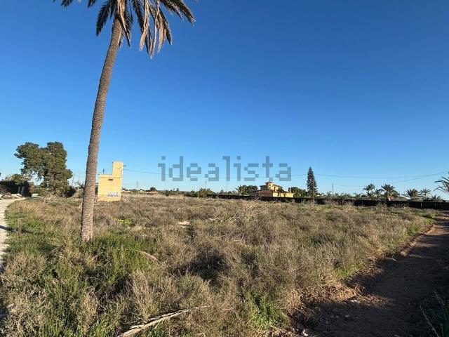 Terreno, Elche / Elx