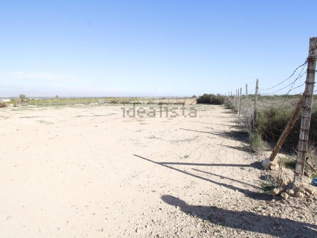 Terreno, Elche / Elx