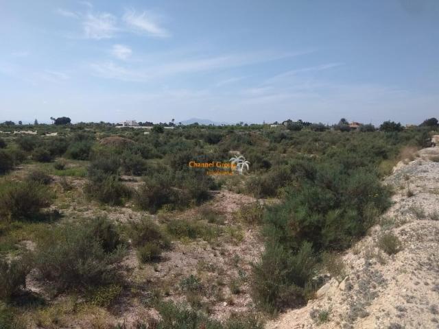 Terreno, Elche / Elx