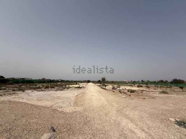 Terreno, Elche / Elx