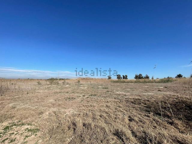 Terreno, Elche / Elx