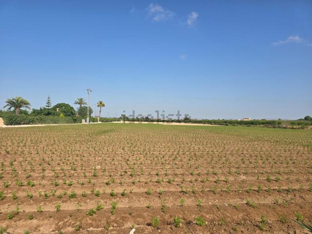 Terreno, Elche / Elx