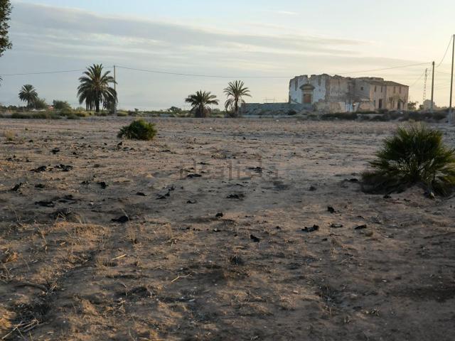 Terreno, Elche / Elx