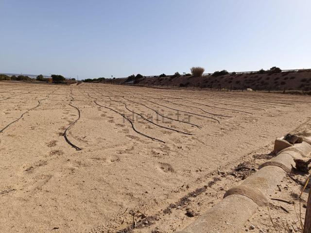 Terreno, Elche / Elx