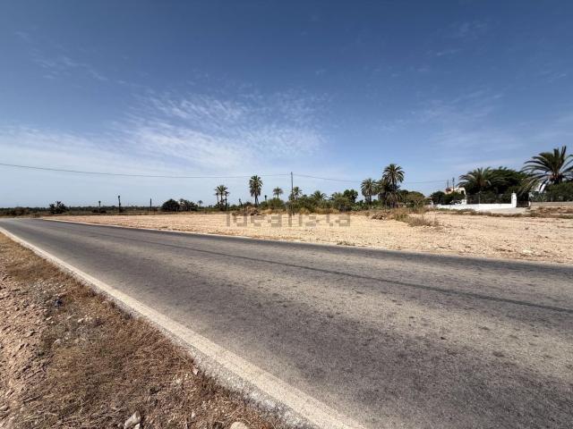 Terreno, Elche / Elx