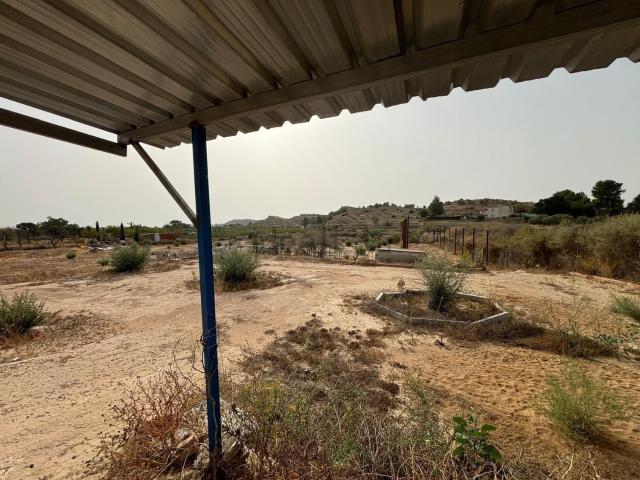 Terreno, Elche / Elx