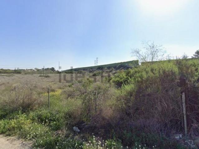 Terreno, Elche / Elx