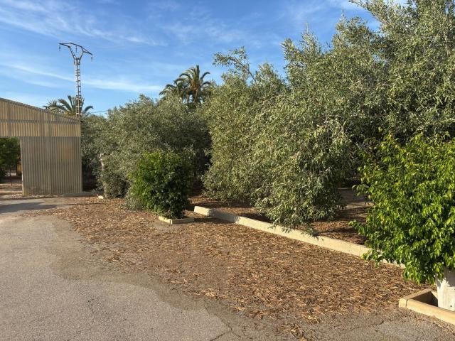 Terreno, Elche / Elx