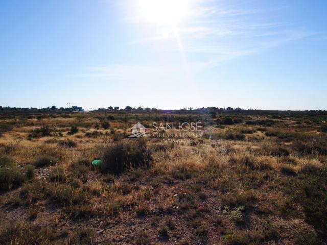 Terreno, Elche / Elx