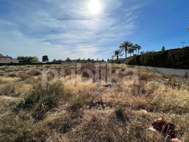 Terreno, Elche / Elx